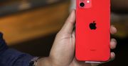 Apple dosłownie zajmie miejsce LG? Rozmowy już trwają