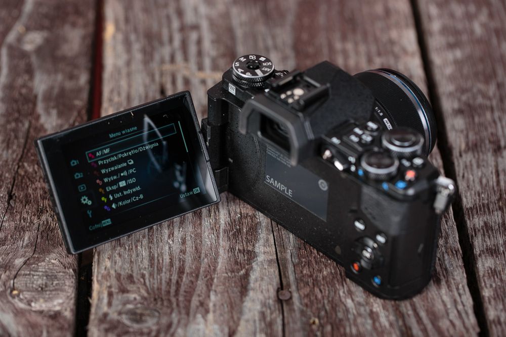 Olympus OM-D E-M5 Mark II – dojrzały rozwój w dobrym stylu [test] 20