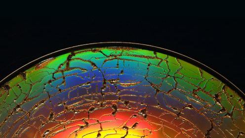 Wymuszone porozumienia między fanami P2P a antypiratami są nielegalne? 1