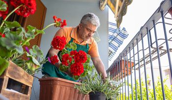 Nie tylko przymrozki. Jak chronić mały ogród na balkonie?