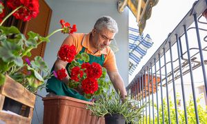 Pusty balkon w kwietniu. Chwila nieuwagi i masz cmentarzysko roślin
