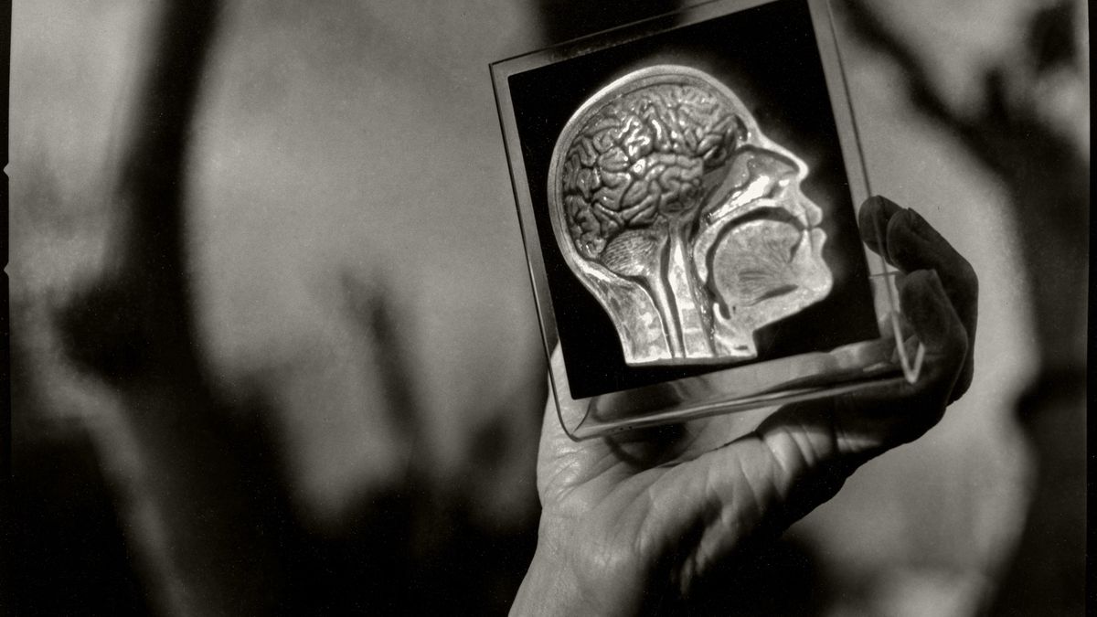 View of a hologram of a human skill & brain, Hayward, California, 1997. (Photo by Bromberger Hoover Photography/Getty Images)