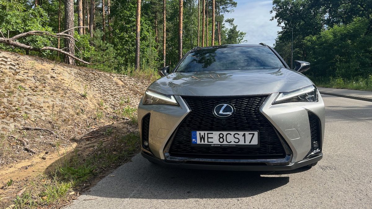 Lexus UX 300h