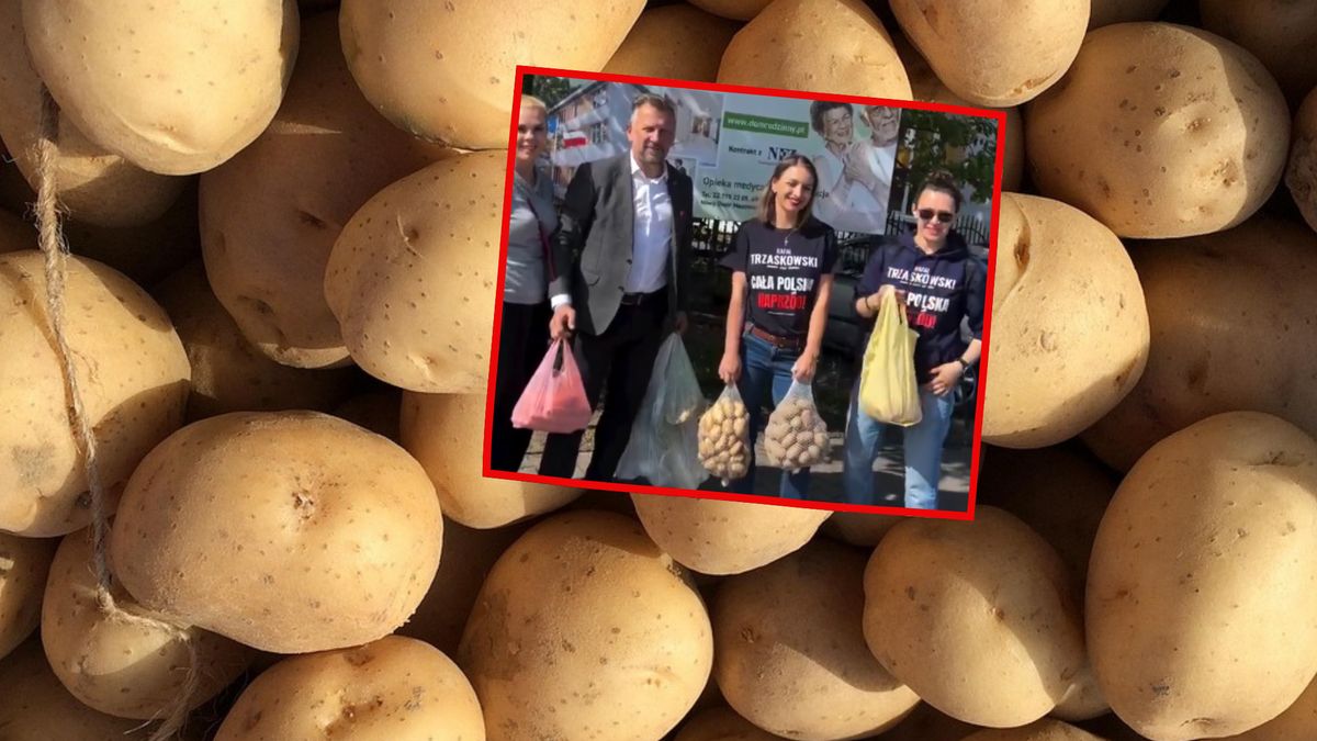 Co stało się z ziemniakami od posłanki KO?