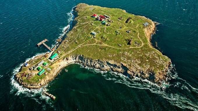 Obrońcy Wyspy Węży żyją. Trafili do niewoli 