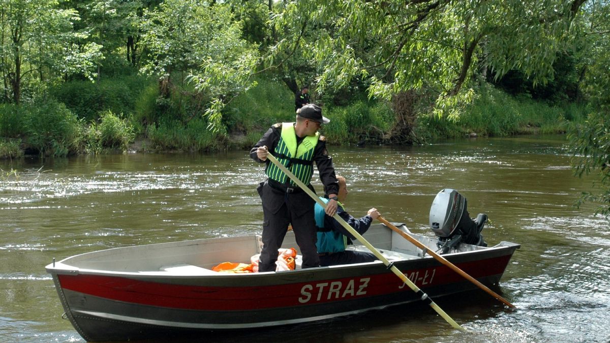 Kilkanaście martwych zwierząt w Drwęcy; ZDJ. POGLADOWE