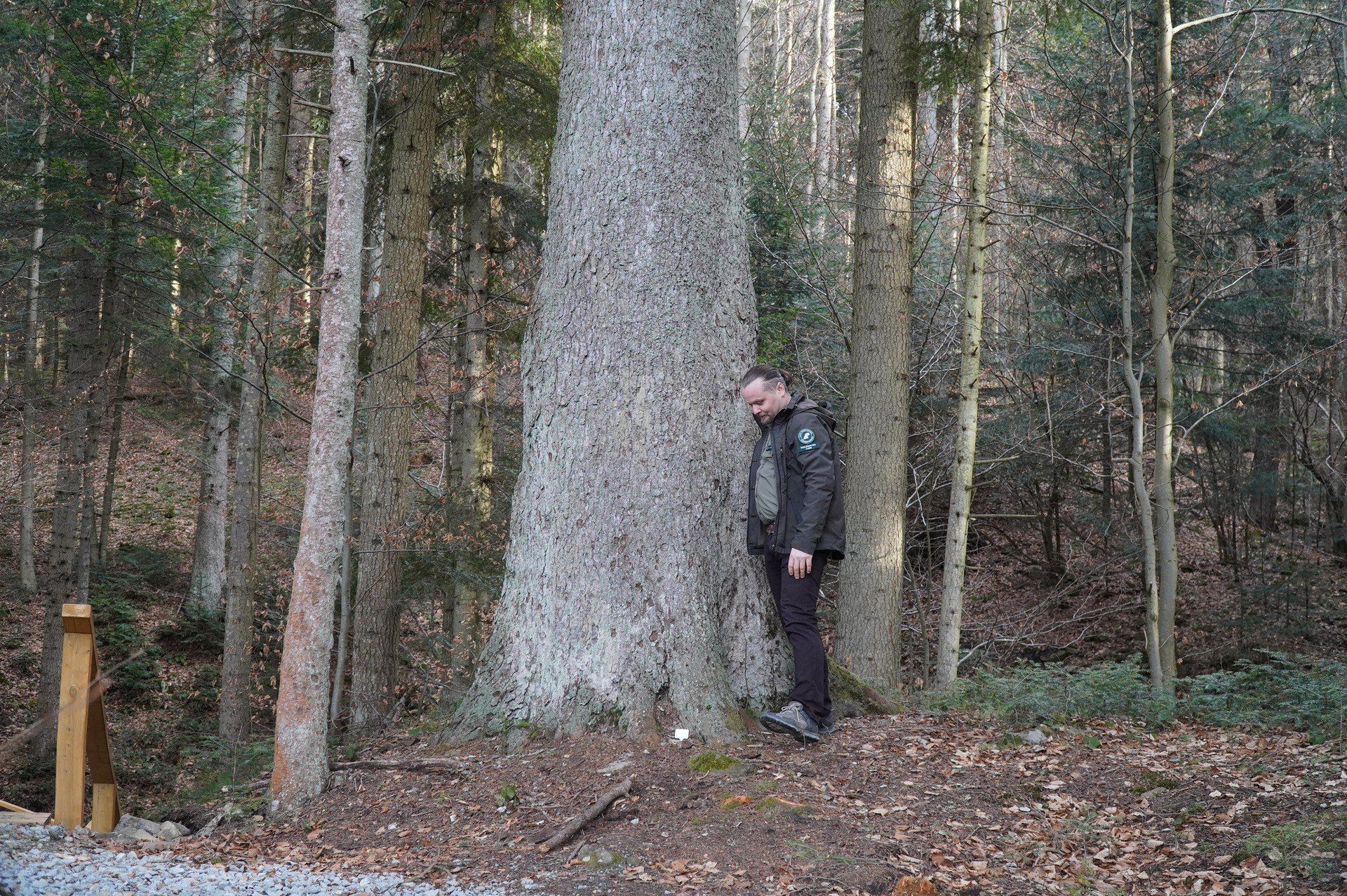 Ścieżka edukacyjna z Nowicy do Leszczyn
