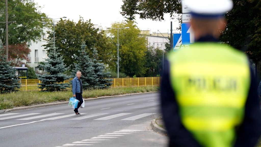 Dwie torby? W świecie posła PiS-u taki pieszy miałby problem