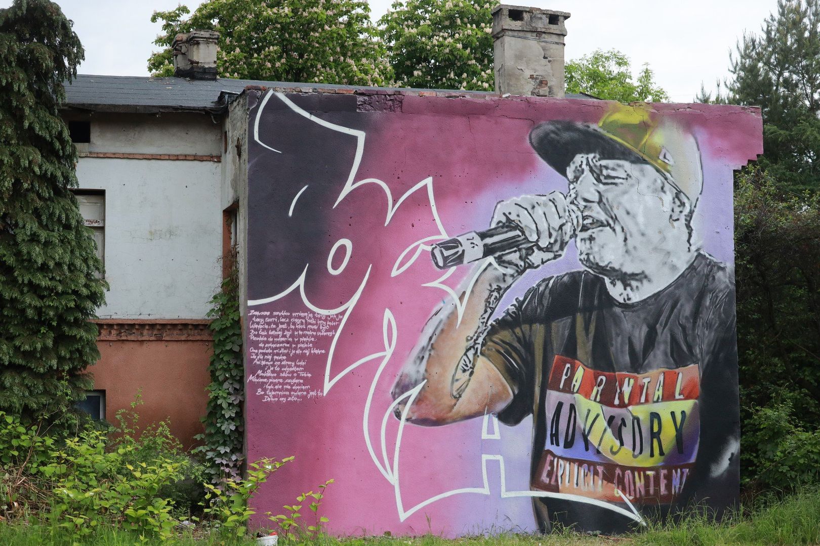 Tak prezentuje się mural Joki w Katowicach przy ul. Gliwickiej