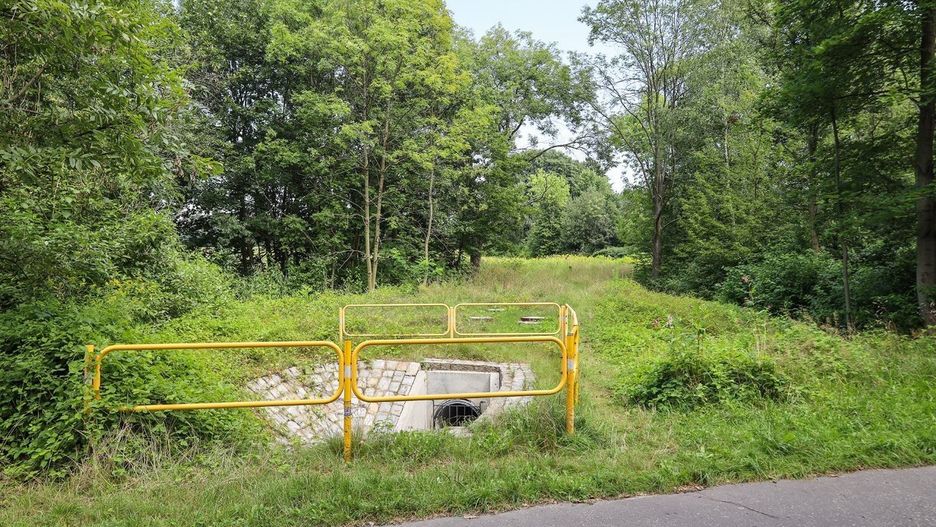 Część terenu znajdującego się między Stawem Hutnik i ul. Siemianowicką w Parku Śląskim, na którym od 2023 zasiewano pole słoneczników, zostanie zagospodarowana na farmę fotowoltaiczną