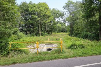 Chorzów: Park Śląski wybuduje farmę fotowoltaiczną