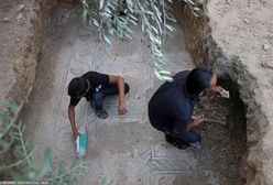 Sensacja archeologiczna w Strefie Gazy. Przypadkowe odkrycie rolnika