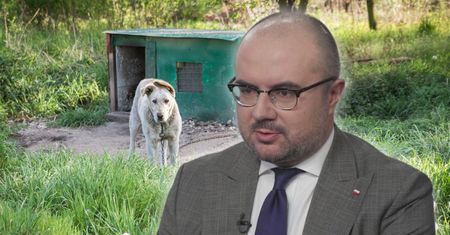 Spór o "ustawę łańcuchową".  Poseł PiS tłumaczy swój sprzeciw