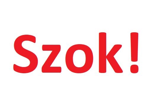 Pijana i bez uprawnień wiozła siedmioro dzieci