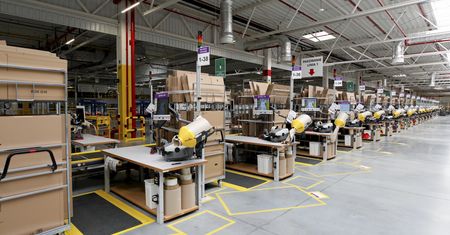 Pracownicy Amazona alarmują. Trwa nierówna walka z owadami