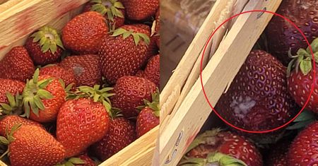 Tanie truskawki? Zobaczcie, co zastała na bazarze. "Jak tak można"