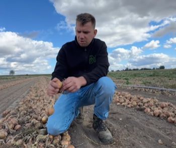 Tylko 1 zł za kilogram. Bracia rolnicy ogłosili: "znowu to robimy"