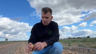 Tylko 1 zł za kilogram. Bracia rolnicy ogłosili: "znowu to robimy"