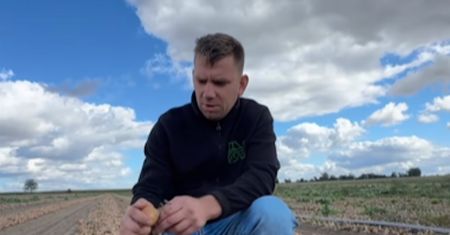 Tylko 1 zł za kilogram. Bracia rolnicy ogłosili: "znowu to robimy"