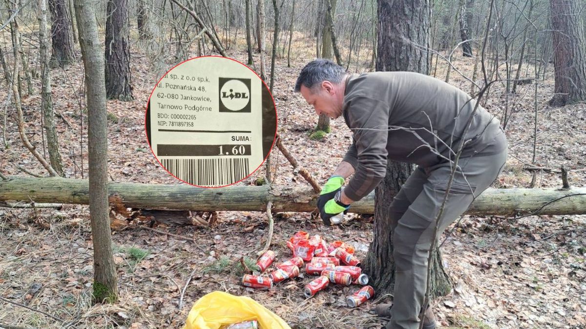 Niepokojące znalezisko w lesie
