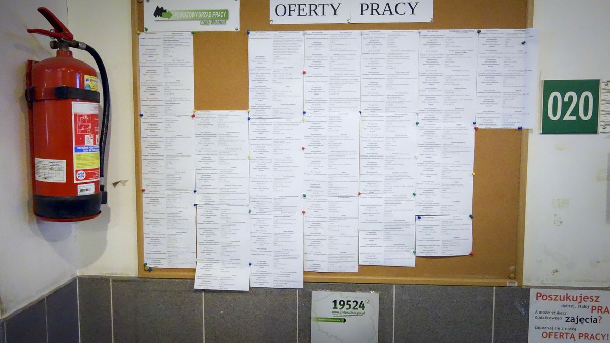 Polski rynek pracy coraz mocniej będzie odczuwał braki kadrowe