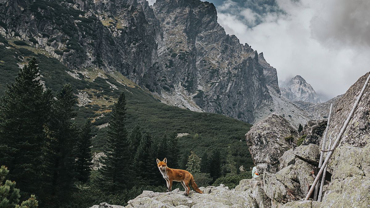 Lifestyle w słowackich Tatrach. Michał Gałczyński opowiada o swojej wyprawie 1