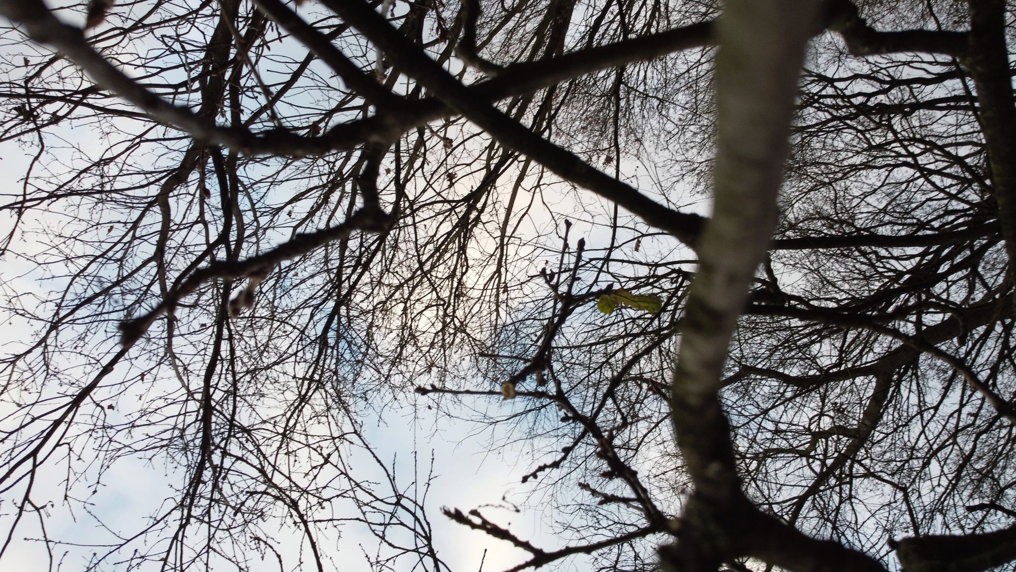 DJI Mini 2: Niech nie zwiodą cię jego rozmiary, bo umie całkiem sporo! 10