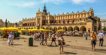 Nie chce drzew. Komentarz prezydenta miasta poraża ignorancją