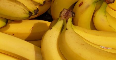Nowe przepisy dotyczące bananów już obowiązują. Oto zmiany