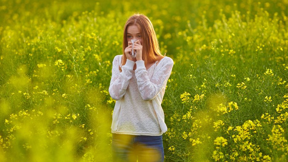 Pollen allergy, girl sneezing
Pollen allergy, girl sneezing in a field of flowers
Ryzhkov Aleksandr
agriculture, allergic, allergy, blow, blowing, copy, cough, countryside, discomfort, disease, farm, female, fever, field, flower, flu, girl, hayfever, health, illness, infection, influenza, isolated, medical, mustard, nose, outdoor, people, pollen, rape, rapeseed, reaction, retro, seasonal, seed, sick, sickness, sneeze, spring, summer, symptom, tissue, treatment, unwell, virus, white, woman, yellow, young