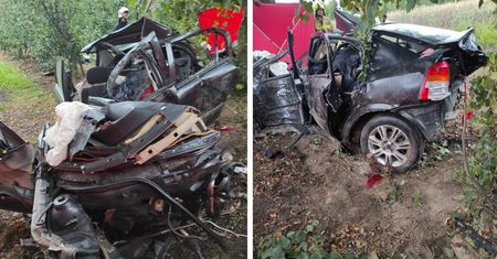 Wjechał Oplem w drzewo. Zdjęcia jeżą włosy na głowie