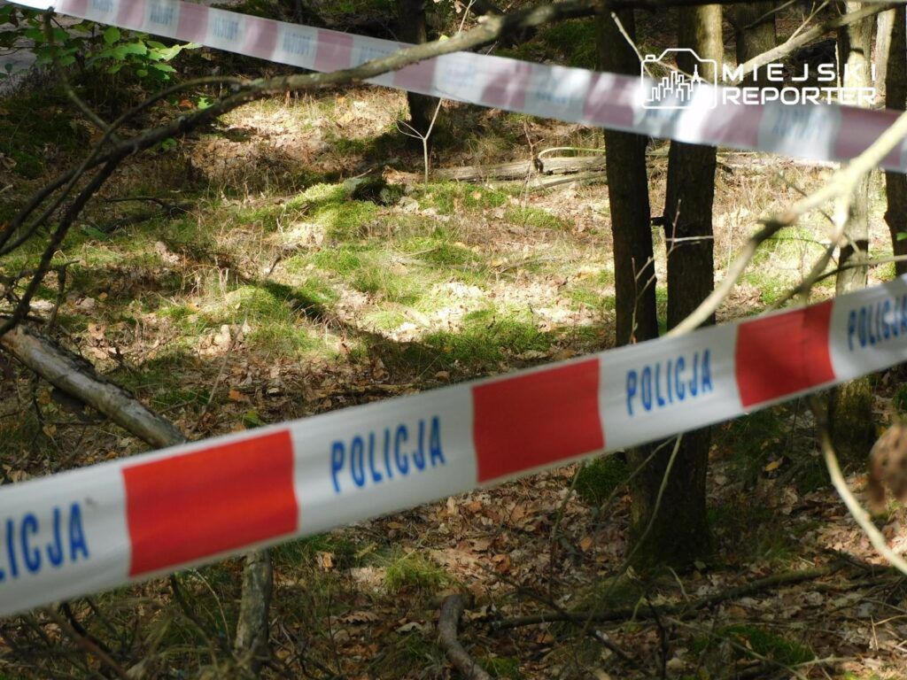 Pościg za Gruzinami pod Warszawą. Porzucili pojazd i próbowali uciec pieszo