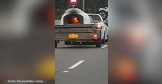 Dał do pieca i ruszył w drogę. Niecodzienny transport na australijskiej autostradzie