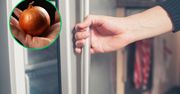 Włóż cebulę do zamrażalnika. Szybko pozbędziesz się uciążliwego problemu