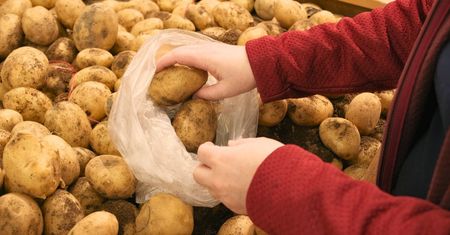W ten sposób odróżnisz młode ziemniaki od wczesnych. Ważne są szczegóły