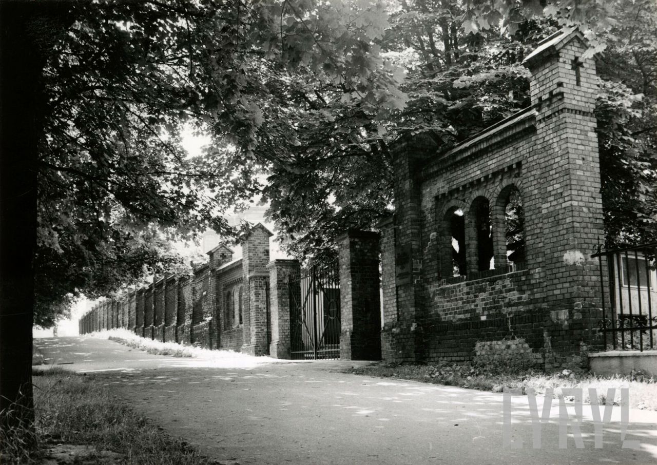 Ostatni spoczynek Wielkopolan: Historia i dziedzictwo Cmentarza Zasłużonych na Wzgórzu św. Wojciecha