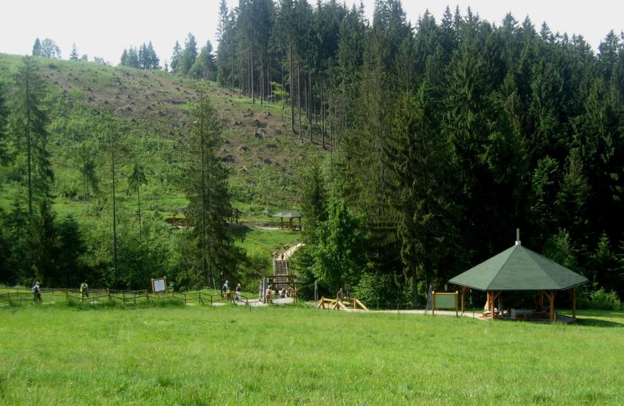 Obraz