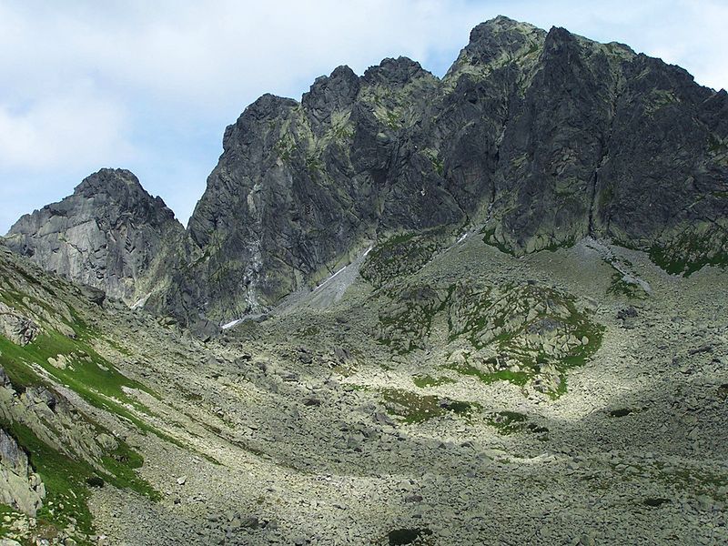 Obraz