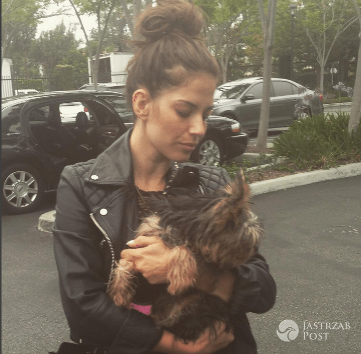 Taylor piesek Weroniki Rosati - Instagram