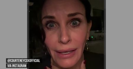 Psy Courteney Cox wybiegły na autostradę. Uratował je… paparazzi