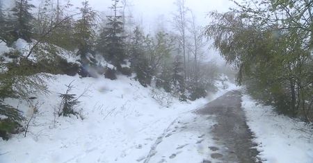 Śnieżny poranek w środku maja na południu Polski
