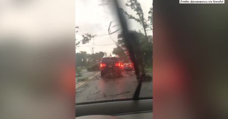 Silny wiatr łamał drzewa. Trudne warunki na drogach w New Jersey