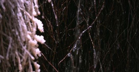 Tężnia i grota solna w szkole w Sosnowcu. Jak powstały?