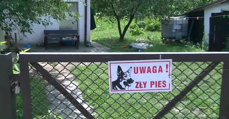 Śledztwo po ataku psa na dzieci. Poprzednia właścicielka twierdzi, że zwierzę reagowało agresją na widok niemowląt