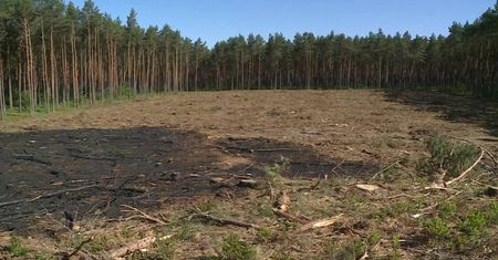 “Las to nie śmietnik” – strażacy i leśnicy ostrzegają przed pożarami