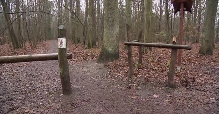 Zarzekali się, że tym razem to nie ich psy zaatakowały człowieka. Prokuratura ma inne zdanie