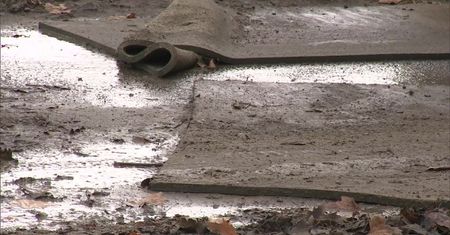 Ognisko ptasiej grypy na fermie pod Myśliborzem. Uśmiercą około 22 tysiące indyków