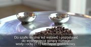 Jak pozbyć się moli spożywczych?