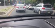 Gigantyczna kolejka do food drive w New Jersey. Rozdano pięć ton żywności