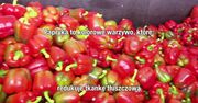 Papryka to witaminowa rekordzistka. Który kolor najlepszy?